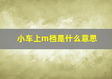 小车上m档是什么意思