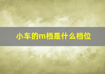 小车的m档是什么档位