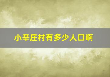 小辛庄村有多少人口啊