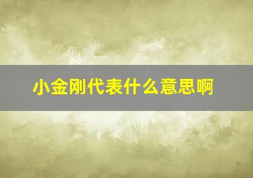 小金刚代表什么意思啊