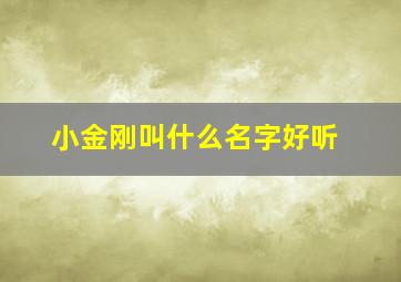 小金刚叫什么名字好听