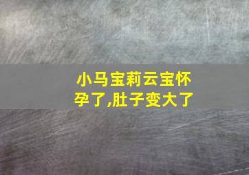 小马宝莉云宝怀孕了,肚子变大了