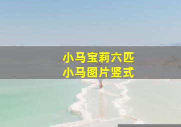 小马宝莉六匹小马图片竖式