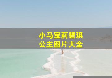 小马宝莉碧琪公主图片大全