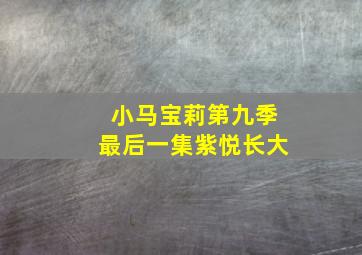 小马宝莉第九季最后一集紫悦长大