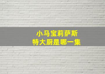 小马宝莉萨斯特大厨是哪一集