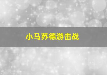 小马苏德游击战