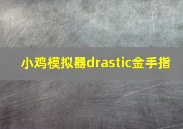 小鸡模拟器drastic金手指