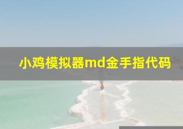 小鸡模拟器md金手指代码