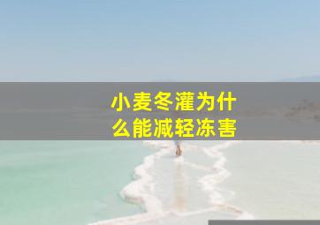 小麦冬灌为什么能减轻冻害