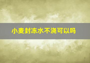 小麦封冻水不浇可以吗