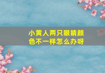 小黄人两只眼睛颜色不一样怎么办呀