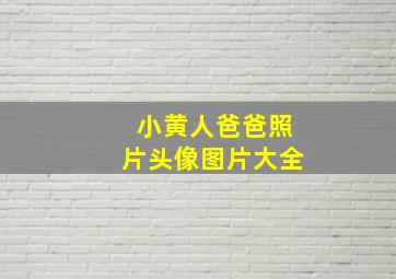 小黄人爸爸照片头像图片大全