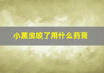 小黑虫咬了用什么药膏