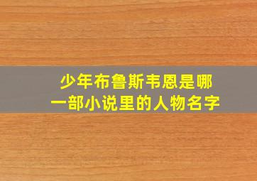 少年布鲁斯韦恩是哪一部小说里的人物名字