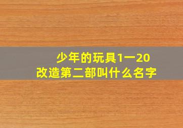 少年的玩具1一20改造第二部叫什么名字