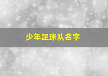 少年足球队名字