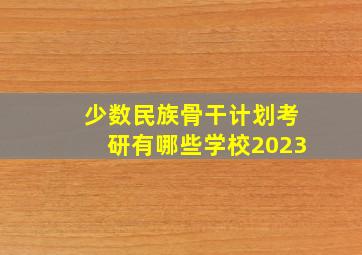 少数民族骨干计划考研有哪些学校2023