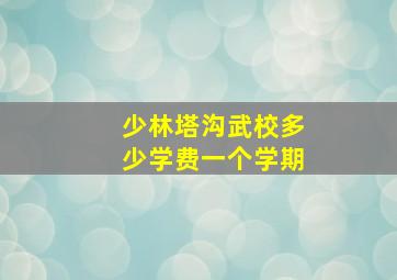 少林塔沟武校多少学费一个学期