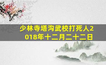 少林寺塔沟武校打死人2018年十二月二十二日