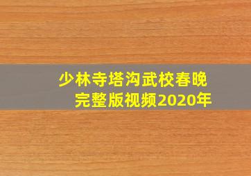 少林寺塔沟武校春晚完整版视频2020年