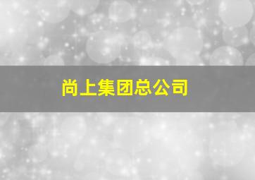 尚上集团总公司