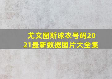 尤文图斯球衣号码2021最新数据图片大全集