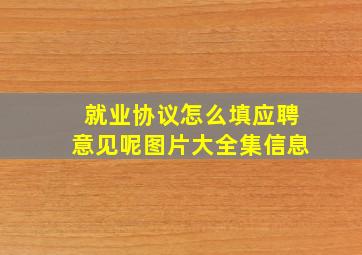 就业协议怎么填应聘意见呢图片大全集信息