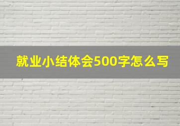 就业小结体会500字怎么写