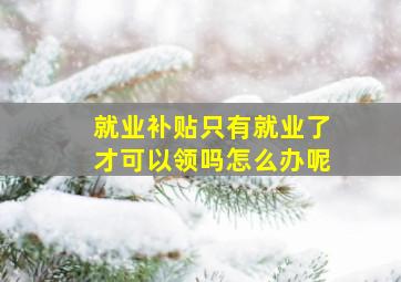 就业补贴只有就业了才可以领吗怎么办呢