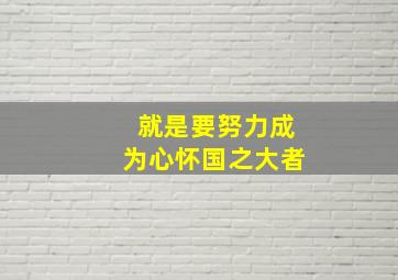 就是要努力成为心怀国之大者