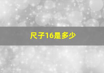 尺子16是多少