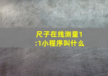 尺子在线测量1:1小程序叫什么