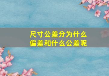 尺寸公差分为什么偏差和什么公差呢