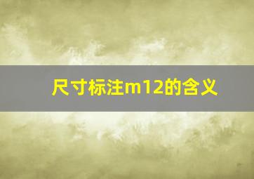 尺寸标注m12的含义