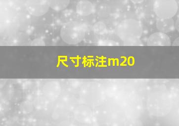 尺寸标注m20