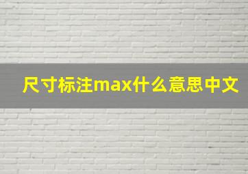 尺寸标注max什么意思中文