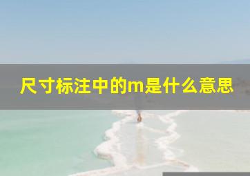 尺寸标注中的m是什么意思