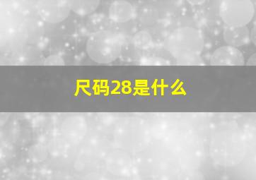 尺码28是什么