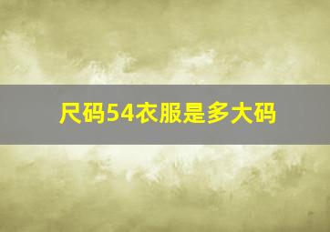 尺码54衣服是多大码