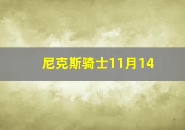 尼克斯骑士11月14