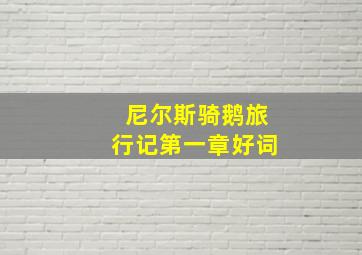 尼尔斯骑鹅旅行记第一章好词