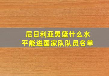 尼日利亚男篮什么水平能进国家队队员名单