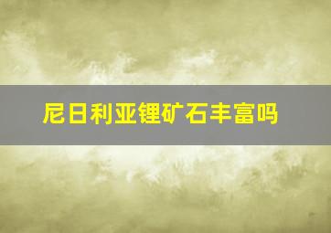 尼日利亚锂矿石丰富吗