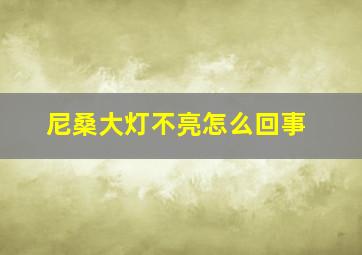 尼桑大灯不亮怎么回事