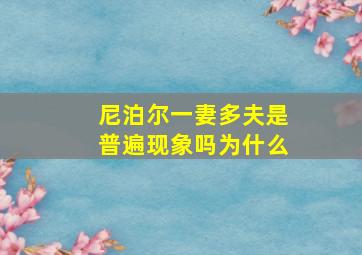 尼泊尔一妻多夫是普遍现象吗为什么