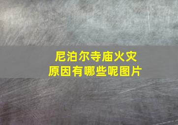 尼泊尔寺庙火灾原因有哪些呢图片