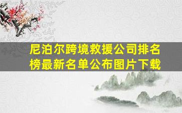 尼泊尔跨境救援公司排名榜最新名单公布图片下载