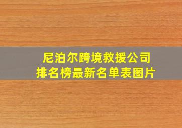 尼泊尔跨境救援公司排名榜最新名单表图片