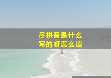 尽拼音是什么写的呀怎么读